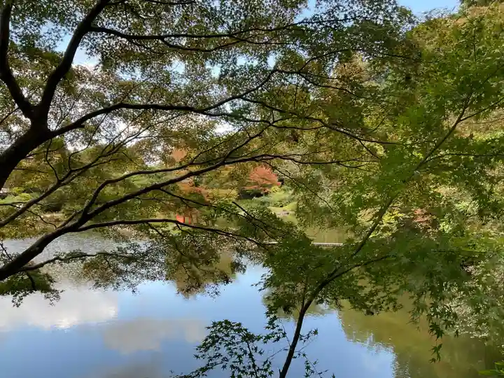 浄瑠璃寺(京都府)