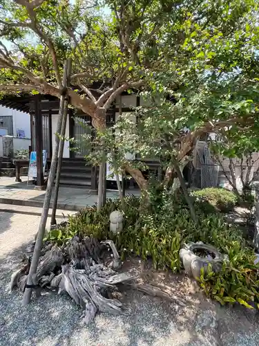 妙昌寺(神奈川県)