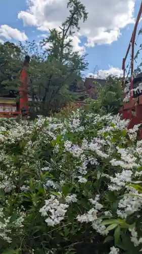 賀茂御祖神社（下鴨神社）(京都府)