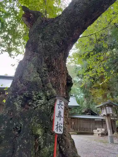 駒形神社(岩手県)