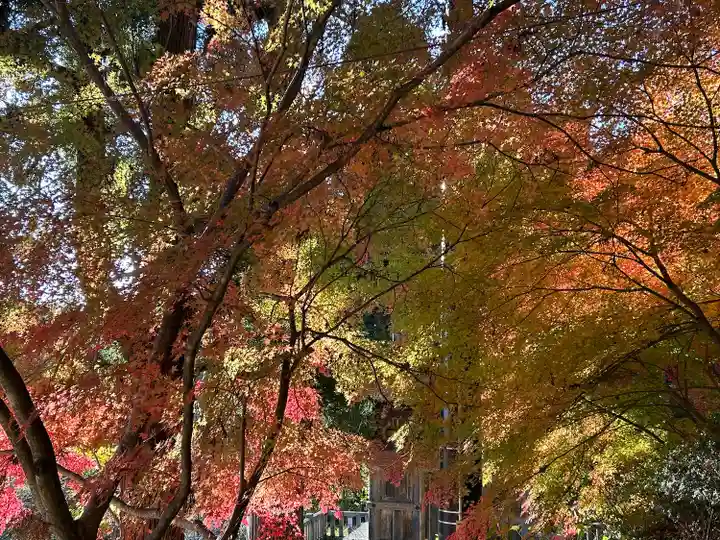 国宝 大法寺(長野県)