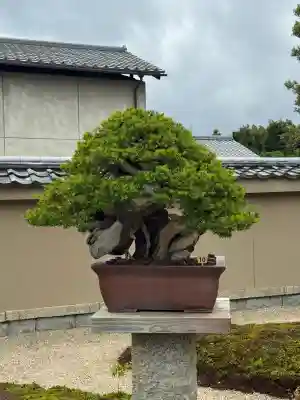 芳春院(京都府)
