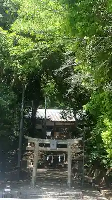 柳田八幡宮の鳥居