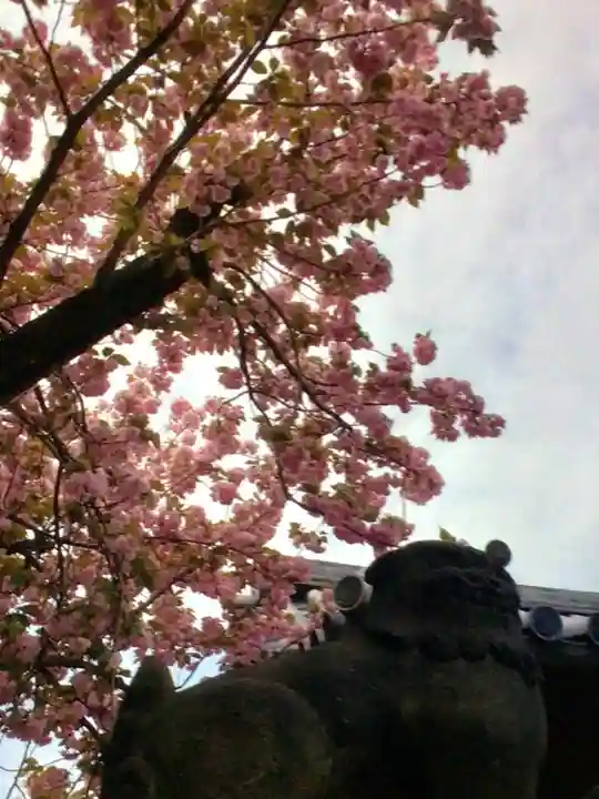 荘厳寺(東京都)