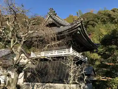 浄眼寺のその他建物
