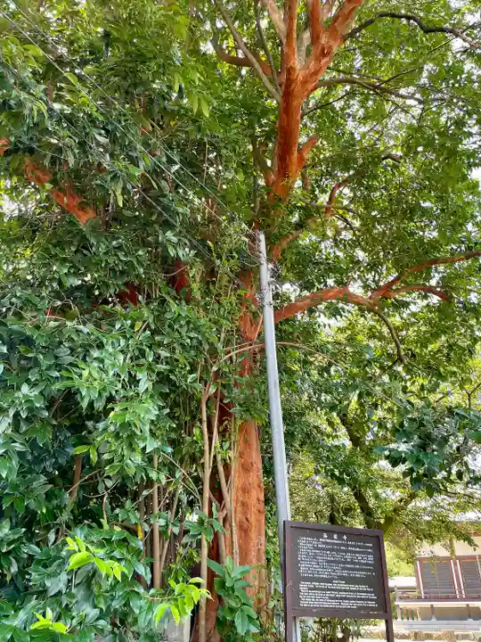 海蔵寺(神奈川県)