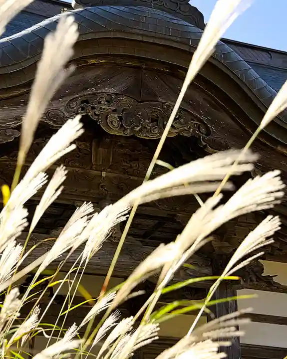 泰寧寺(群馬県)