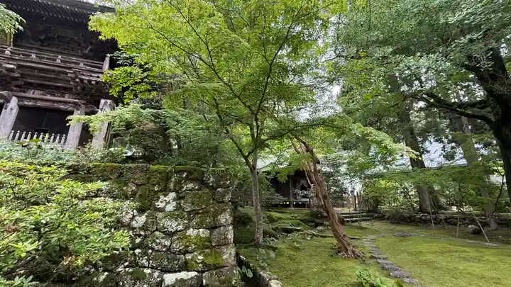 竹林寺(高知県)