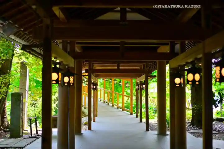 川越氷川神社(埼玉県)