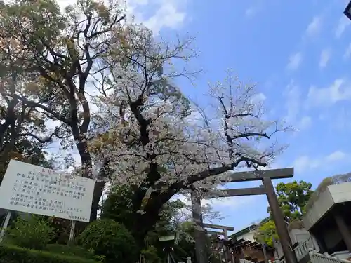 伊勢山皇大神宮(神奈川県)