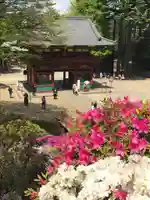 根津神社(東京都)