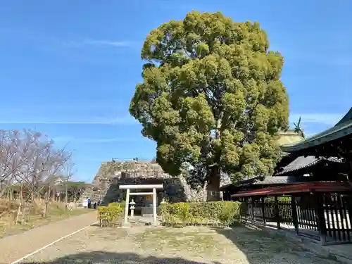柳澤神社のその他建物