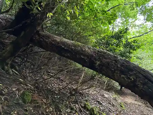 美伊神社(兵庫県)