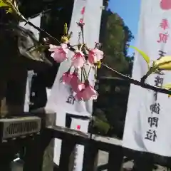 久能山東照宮の自然