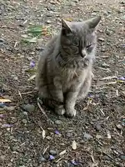 塩竈神社の動物