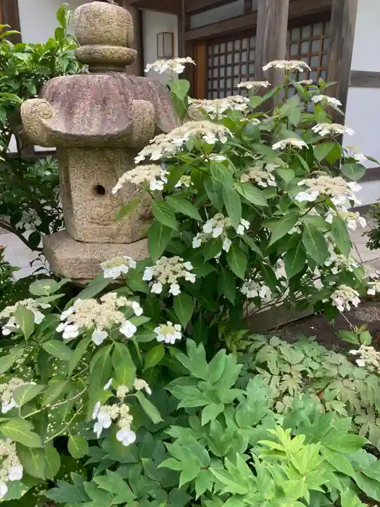 松嶺院(神奈川県)
