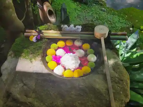 柳谷観音　楊谷寺の手水舎