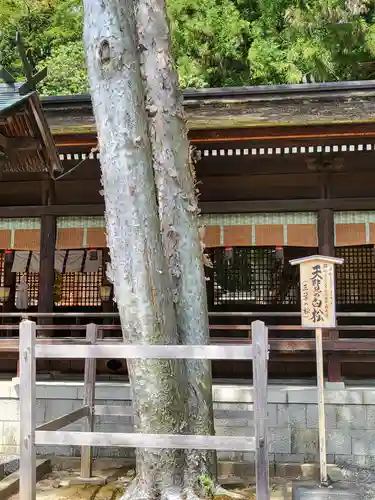 諏訪大社下社秋宮(長野県)