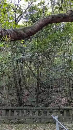 鉾立神社の自然