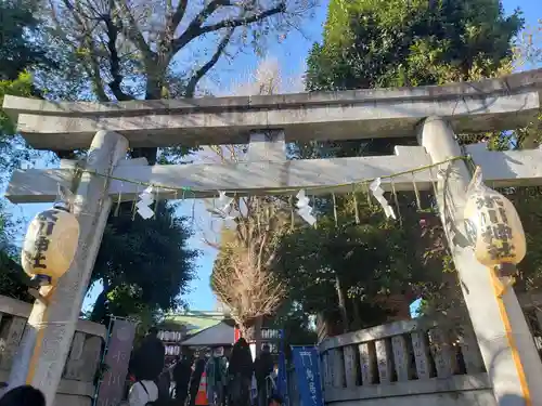 幡ケ谷氷川神社の鳥居