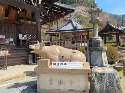 三室戸寺の狛犬