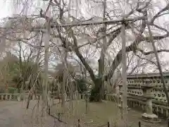 大石神社(京都府)