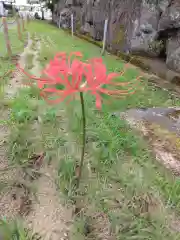 横浜　西方寺(神奈川県)