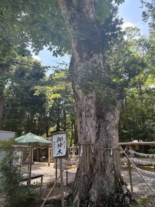小御門神社の{uncategorized: "未分類", other: "その他", undefined: "問題あり", building: "その他建物", grave: "お墓", sacred_gate: "鳥居", guardian: "狛犬", statue: "像", buddha: "仏像", history: "歴史", nature: "自然", garden: "庭園", animal: "動物", pagoda: "塔", temizu: "手水舎", mountain_gate: "山門・神門", sanctuary: "本殿・本堂", subordinate: "末社・摂社", art: "芸術", scenery: "景色", jizo: "地蔵", ema: "絵馬", goshuin: "御朱印", omikuji: "おみくじ", items: "授与品その他", amulet: "お守り", goshuincho: "御朱印帳", eats: "食事", festival: "お祭り", votive_dance: "神楽", shichigosan: "七五三参", wedding: "結婚式", experience: "体験その他", initially: "初詣", around: "周辺", anti_infection: "感染症対策"}