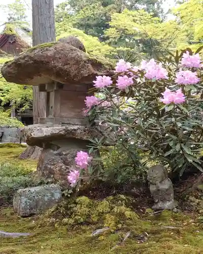三千院門跡(京都府)