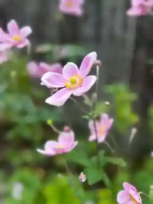 横峰寺(愛媛県)