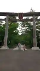 高麗神社の鳥居