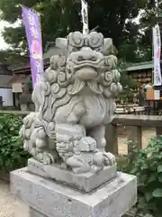 川越八幡宮の狛犬