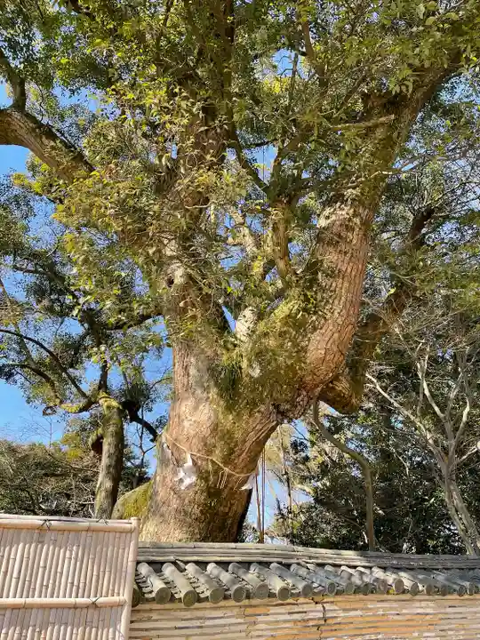 石清水八幡宮の自然