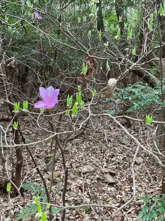 尾張冨士大宮浅間神社(愛知県)