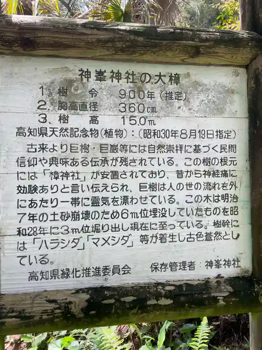 神峯神社(高知県)