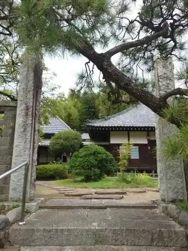 妙覚寺(東京都)