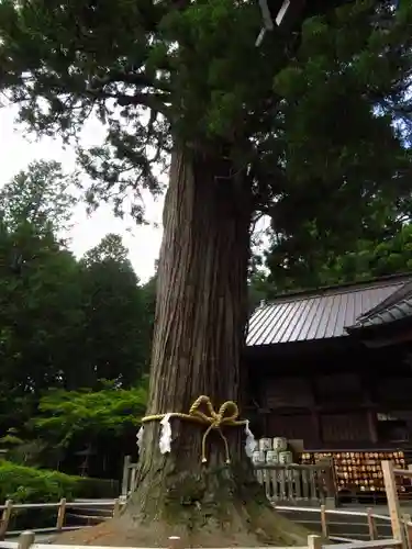 北口本宮冨士浅間神社の建物その他