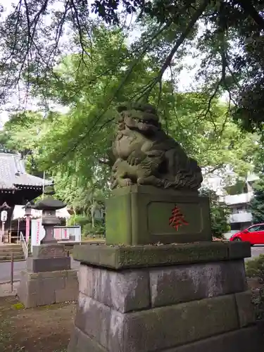 氷川台氷川神社の狛犬