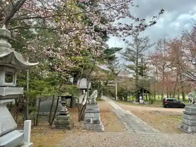 神楽神社の{uncategorized: "未分類", other: "その他", undefined: "問題あり", building: "その他建物", grave: "お墓", sacred_gate: "鳥居", guardian: "狛犬", statue: "像", buddha: "仏像", history: "歴史", nature: "自然", garden: "庭園", animal: "動物", pagoda: "塔", temizu: "手水舎", mountain_gate: "山門・神門", sanctuary: "本殿・本堂", subordinate: "末社・摂社", art: "芸術", scenery: "景色", jizo: "地蔵", ema: "絵馬", goshuin: "御朱印", omikuji: "おみくじ", items: "授与品その他", amulet: "お守り", goshuincho: "御朱印帳", eats: "食事", festival: "お祭り", votive_dance: "神楽", shichigosan: "七五三参", wedding: "結婚式", experience: "体験その他", initially: "初詣", around: "周辺", anti_infection: "感染症対策"}