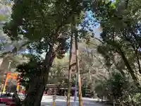 賀茂御祖神社(下鴨神社)の自然