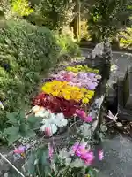 木幡山隠津島神社(二本松市)(福島県)