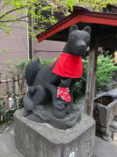 坂稲荷神社の狛犬