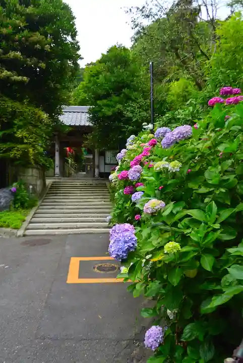 岩殿寺(神奈川県)