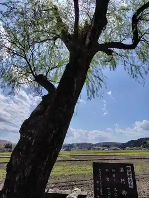 鏡山湯泉神社(栃木県)