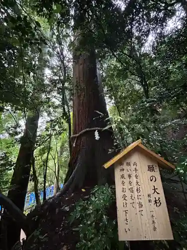 丹生川上神社（中社）(奈良県)