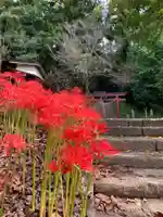 常磐神社の自然