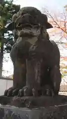 白山神社の狛犬