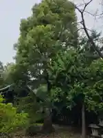 白鳥神社(神奈川県)