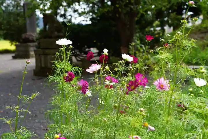 高司神社〜むすびの神の鎮まる社〜の庭園