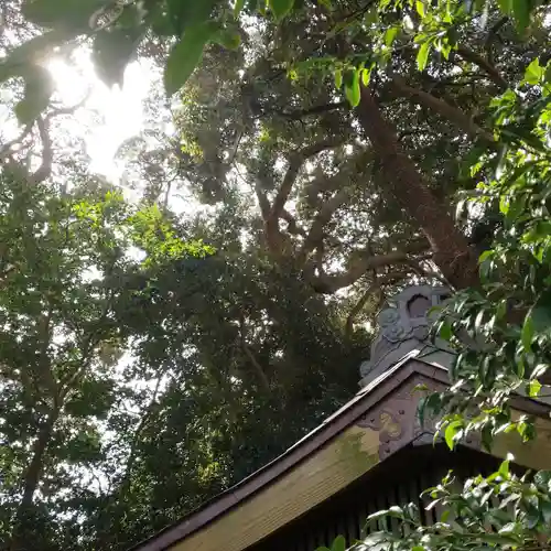 愛宕神社の自然